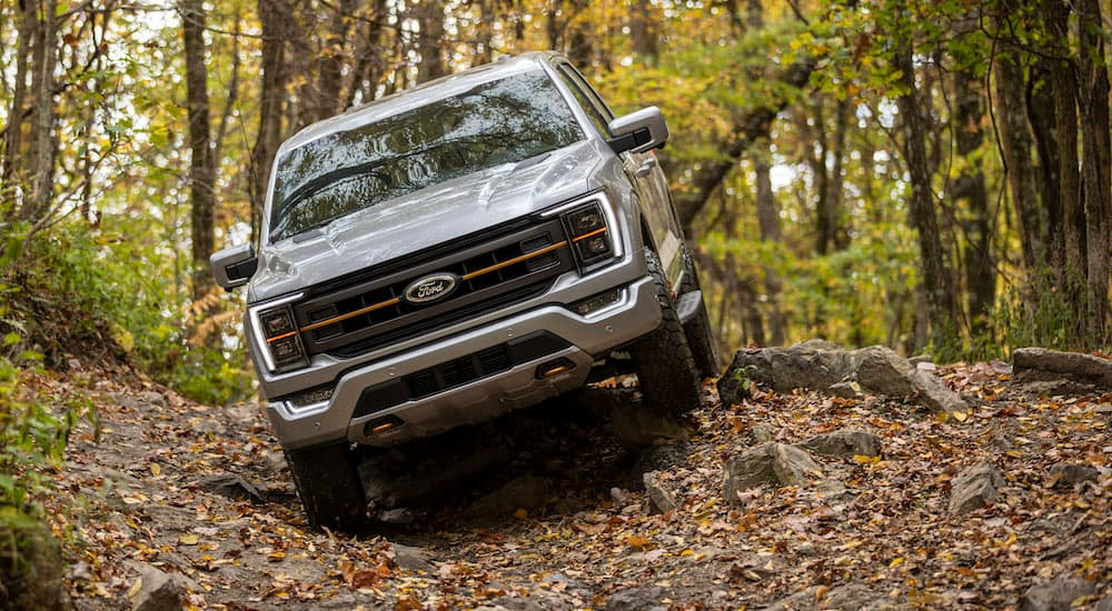A silver 2021 Ford F-150 Tremor off-roading through the woods.
